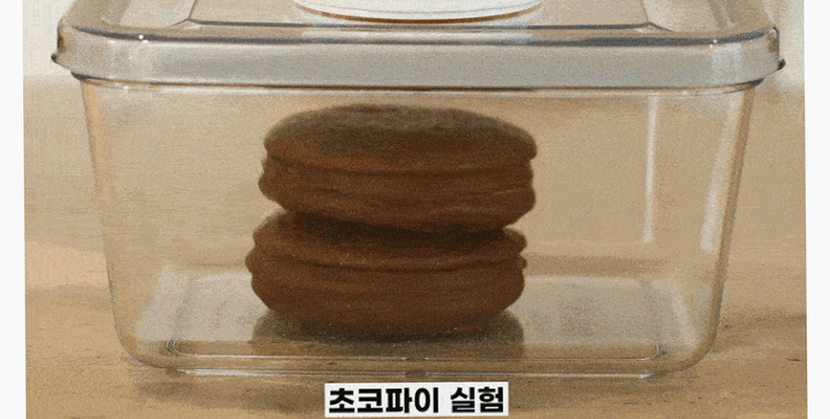 [N배송] 휴락 진공 밀폐용기 뉴트럴그레이 사각 4종 전자레인지 식세기사용 반찬통 도시락통